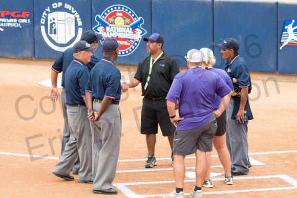 Umpires and coaches meeting at home plate