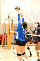 Girls' Volleyball: Burbank vs. Venice